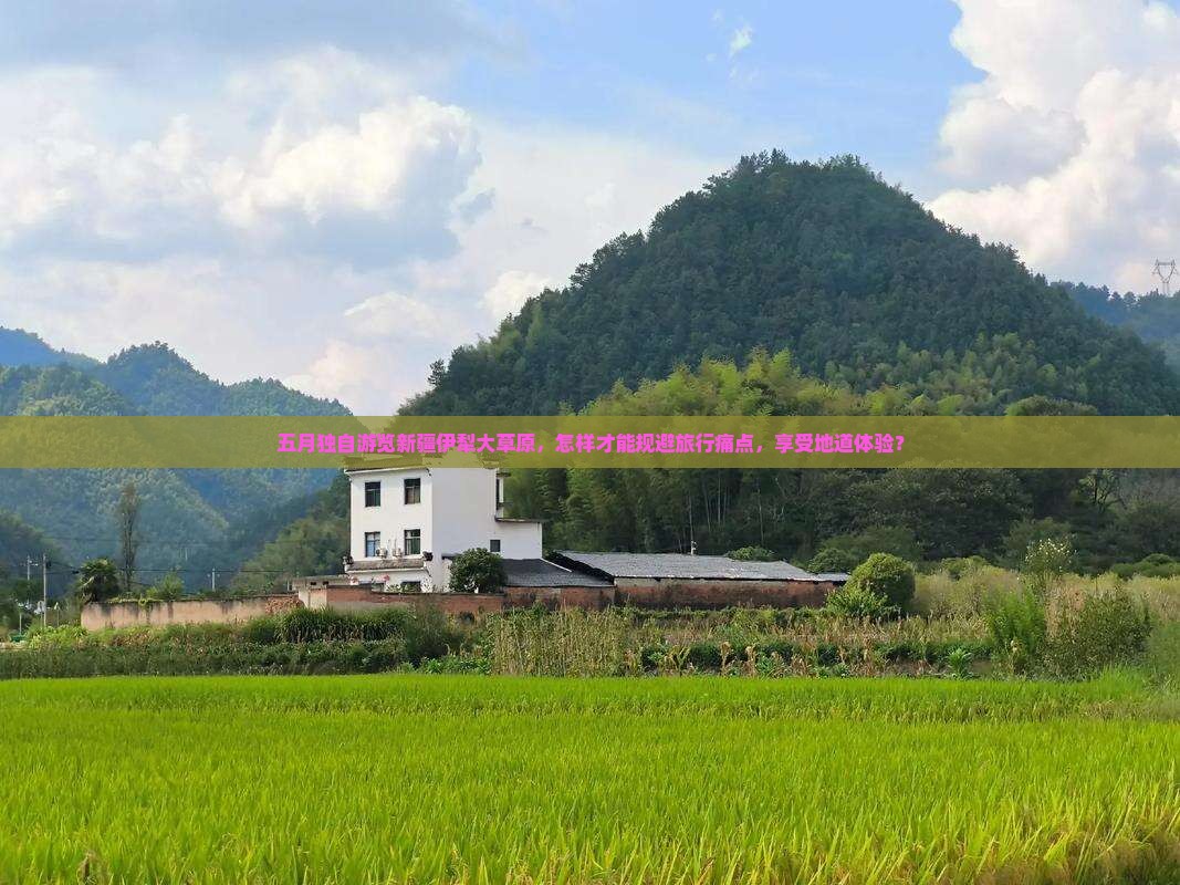 五月独自游览新疆伊犁大草原，怎样才能规避旅行痛点，享受地道体验？