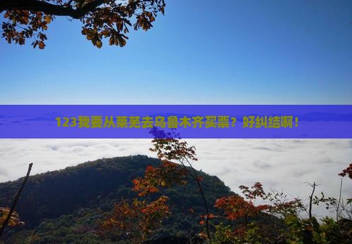 123我要从莱芜去乌鲁木齐买票？好纠结啊！