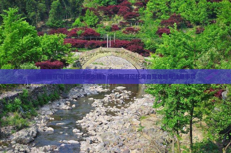 去新疆可可托海旅行多少钱？沧州到可可托海自驾攻略与注意事项