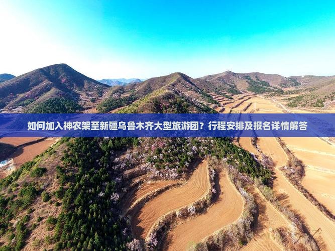 如何加入神农架至新疆乌鲁木齐大型旅游团？行程安排及报名详情解答