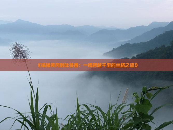 《探秘黄冈到吐鲁番：一场跨越千里的丝路之旅》