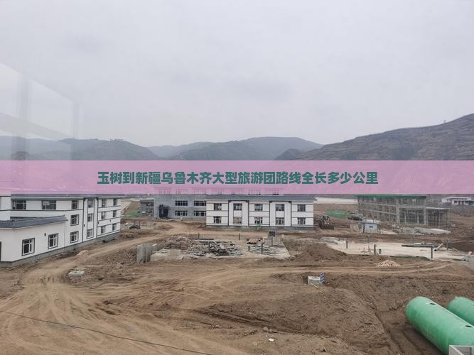 玉树到新疆乌鲁木齐大型旅游团路线全长多少公里