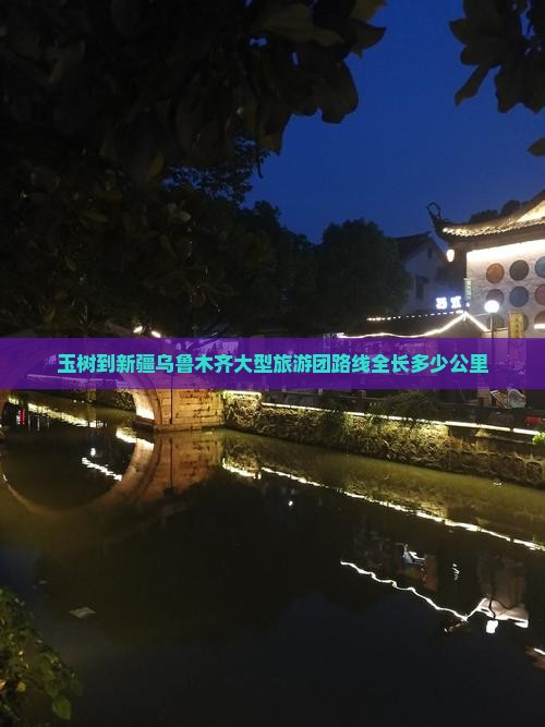 玉树到新疆乌鲁木齐大型旅游团路线全长多少公里