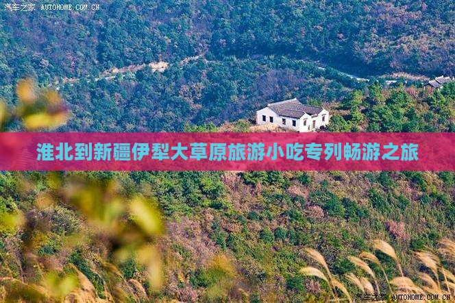 淮北到新疆伊犁大草原旅游小吃专列畅游之旅