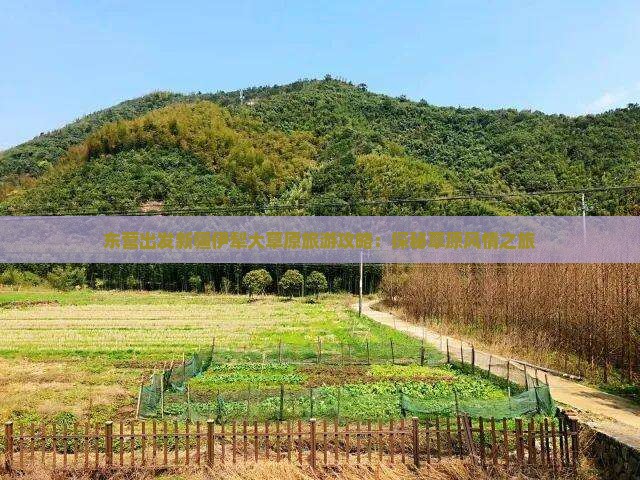 东营出发新疆伊犁大草原旅游攻略：探秘草原风情之旅