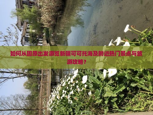 如何从固原出发游览新疆可可托海及附近热门景点与旅游攻略？