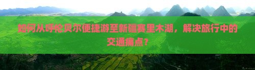 如何从呼伦贝尔便捷游至新疆赛里木湖，解决旅行中的交通痛点？