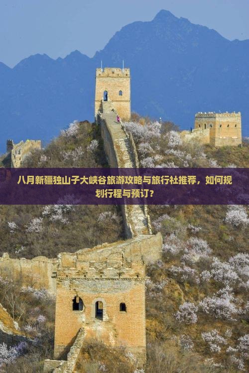 八月新疆独山子大峡谷旅游攻略与旅行社推荐，如何规划行程与预订？