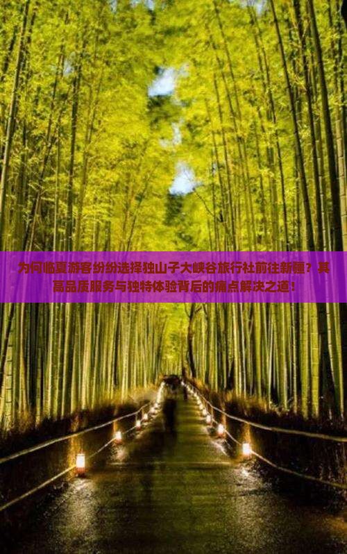 为何临夏游客纷纷选择独山子大峡谷旅行社前往新疆？其高品质服务与独特体验背后的痛点解决之道！