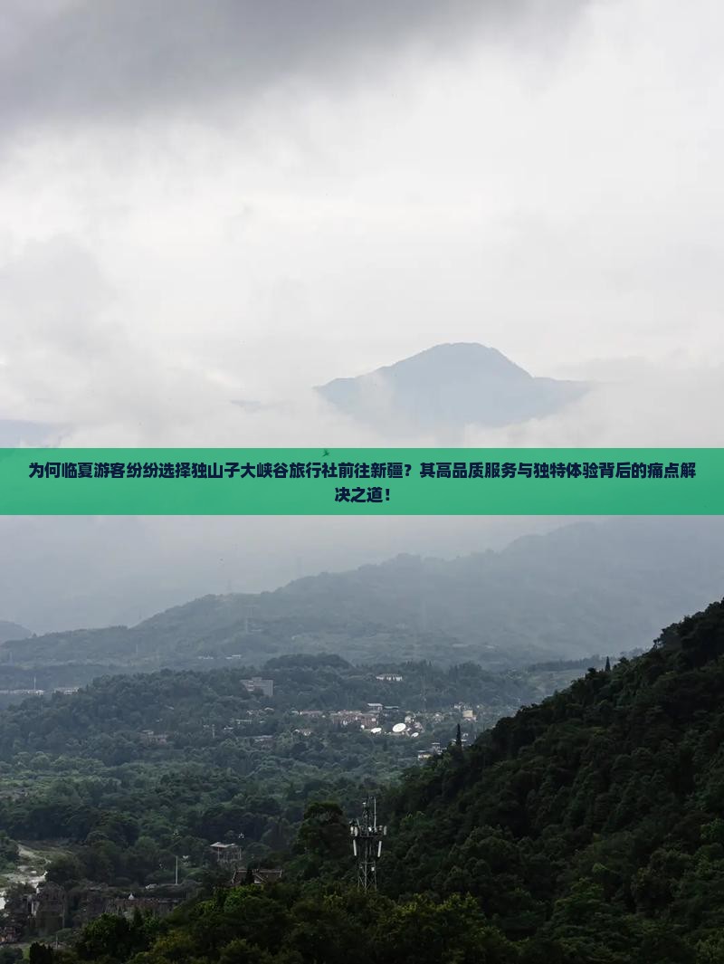 为何临夏游客纷纷选择独山子大峡谷旅行社前往新疆？其高品质服务与独特体验背后的痛点解决之道！