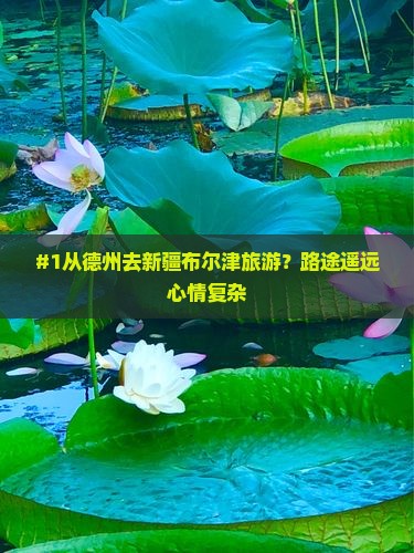 #1从德州去新疆布尔津旅游？路途遥远心情复杂