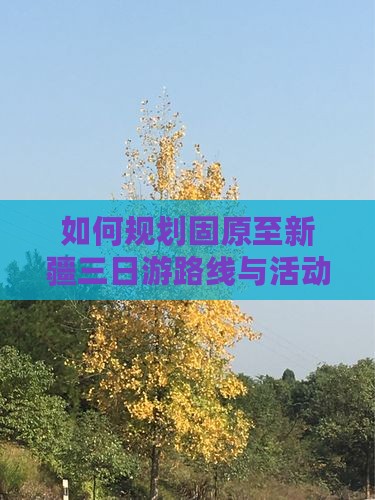 如何规划固原至新疆三日游路线与活动？
