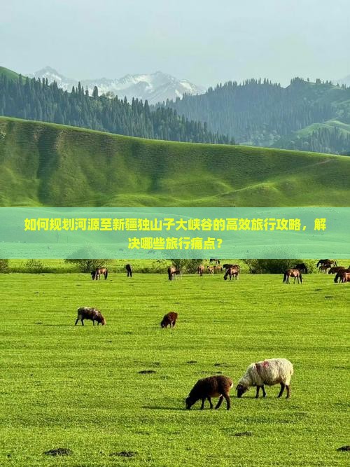 如何规划河源至新疆独山子大峡谷的高效旅行攻略，解决哪些旅行痛点？