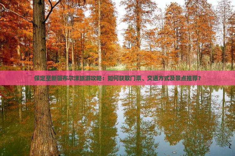 保定至新疆布尔津旅游攻略：如何获取门票、交通方式及景点推荐？