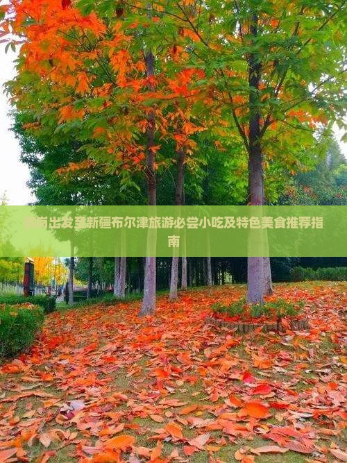 鹤岗出发至新疆布尔津旅游必尝小吃及特色美食推荐指南