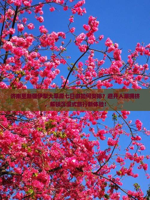 济南至新疆伊犁大草原七日游如何安排？避开人潮拥挤，解锁沉浸式旅行新体验！