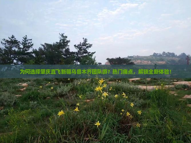为何选择肇庆直飞新疆乌鲁木齐团队游？热门痛点，解锁全新体验！