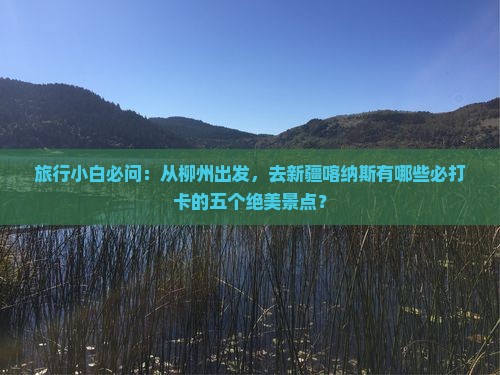 旅行小白必问：从柳州出发，去新疆喀纳斯有哪些必打卡的五个绝美景点？