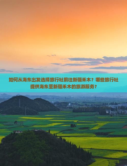 如何从海东出发选择旅行社前往新疆禾木？哪些旅行社提供海东至新疆禾木的旅游服务？