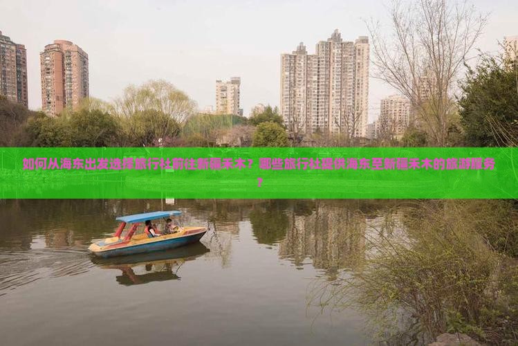 如何从海东出发选择旅行社前往新疆禾木？哪些旅行社提供海东至新疆禾木的旅游服务？