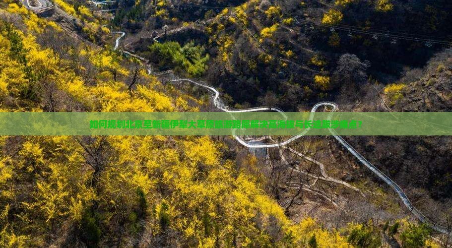 如何规划北京至新疆伊犁大草原旅游路犀解决高海拔与长途跋涉痛点？