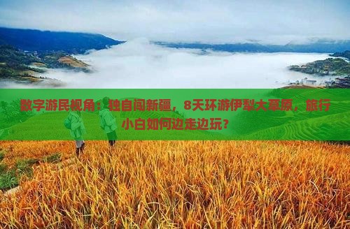 数字游民视角：独自闯新疆，8天环游伊犁大草原，旅行小白如何边走边玩？