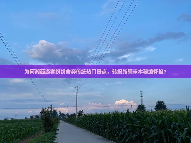 为何湘西游客纷纷舍弃传统热门景点，转投新疆禾木秘境怀抱？