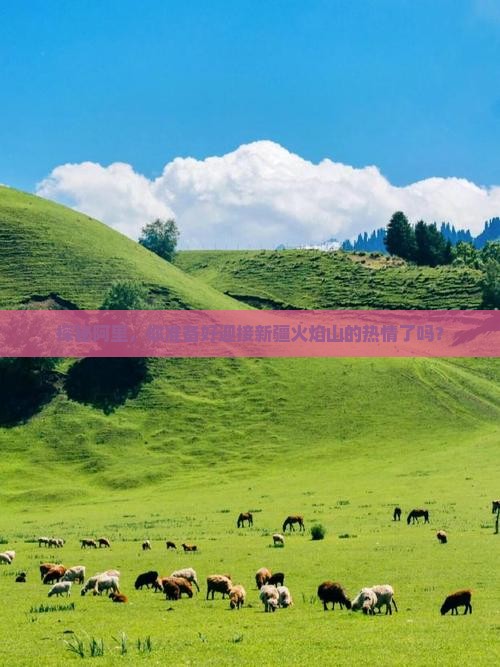 探秘阿里，你准备好迎接新疆火焰山的热情了吗？