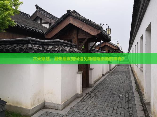 六天穿越，潮州朋友如何遇见新疆喀纳斯的神奇？