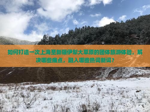 如何打造一次上海至新疆伊犁大草原的团体旅游体验，解决哪些痛点，融入哪些热词新词？