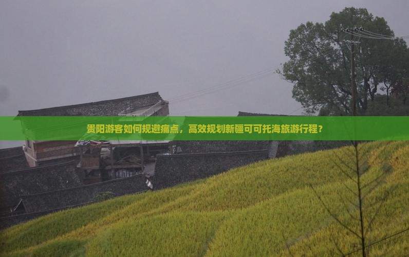 贵阳游客如何规避痛点，高效规划新疆可可托海旅游行程？