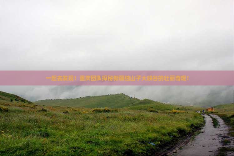 一起去发现！重庆团队探秘新疆独山子大峡谷的壮丽奇观！