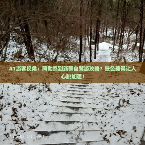 #1游客视角：阿勒泰到新疆自驾游攻略？景色美得让人心跳加速！
