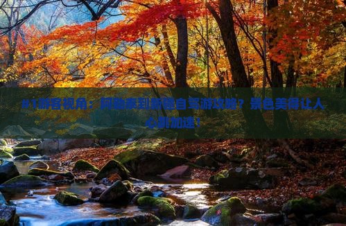 #1游客视角：阿勒泰到新疆自驾游攻略？景色美得让人心跳加速！