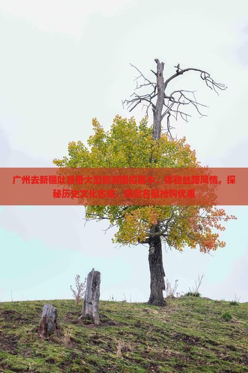 广州去新疆吐鲁番大型旅游团招募中，体验丝路风情，探秘历史文化名城，限定名额抢购优惠