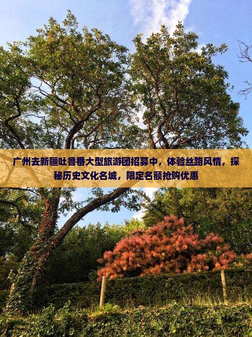 广州去新疆吐鲁番大型旅游团招募中，体验丝路风情，探秘历史文化名城，限定名额抢购优惠