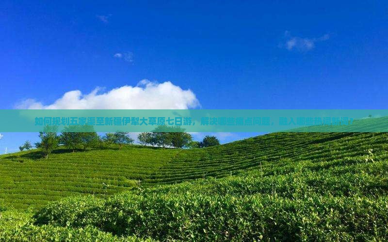 如何规划五家渠至新疆伊犁大草原七日游，解决哪些痛点问题，融入哪些热词新词？
