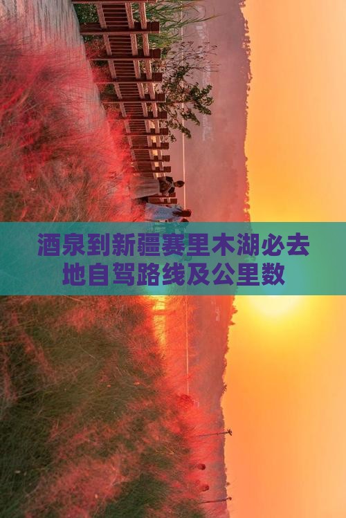 酒泉到新疆赛里木湖必去地自驾路线及公里数