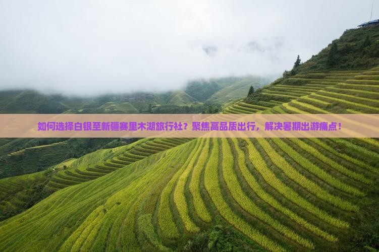 如何选择白银至新疆赛里木湖旅行社？聚焦高品质出行，解决暑期出游痛点！