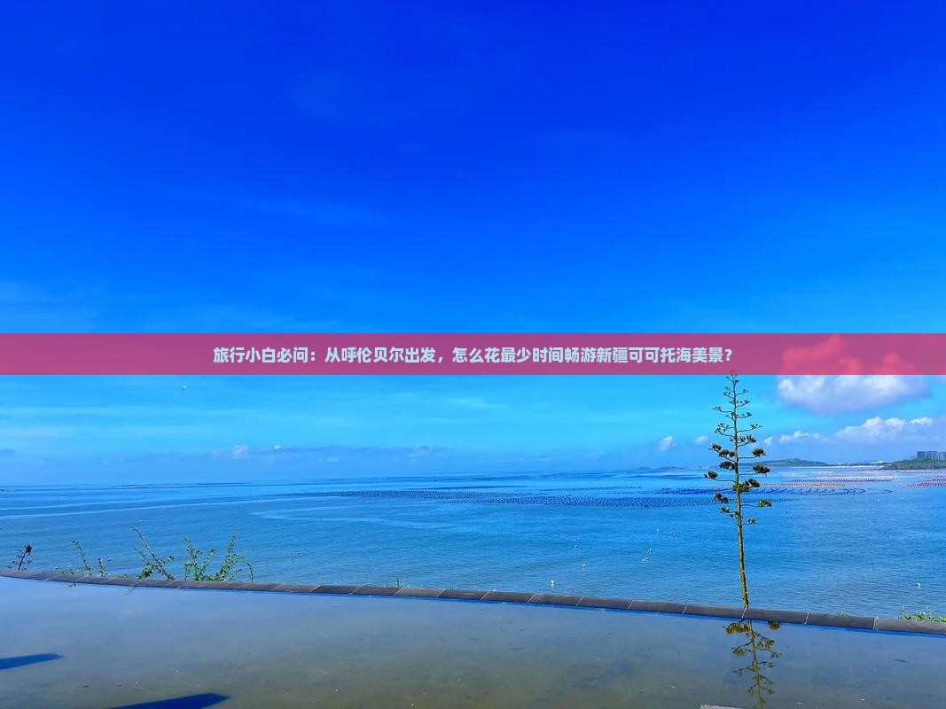 旅行小白必问：从呼伦贝尔出发，怎么花最少时间畅游新疆可可托海美景？