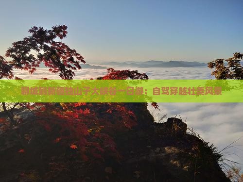 聊城到新疆独山子大峡谷一日游：自驾穿越壮美风景