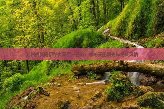 湖州去新疆伊犁大草原一日游：领略天山风光与民族风情