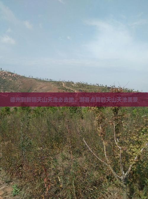 德州到新疆天山天池必去地，游客点赞的天山天池美景