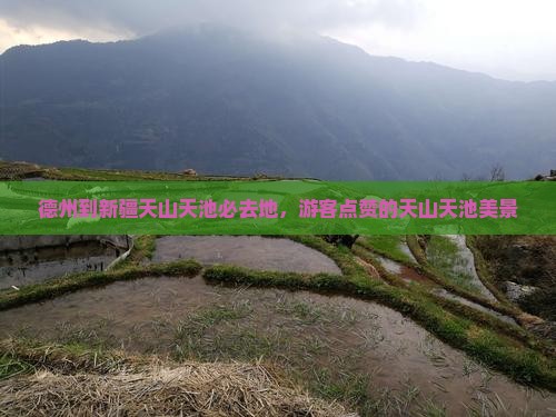 德州到新疆天山天池必去地，游客点赞的天山天池美景