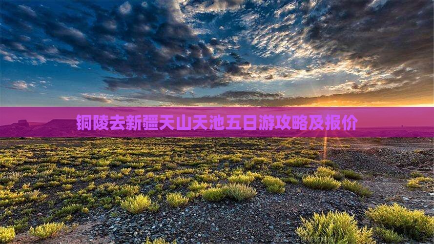 铜陵去新疆天山天池五日游攻略及报价