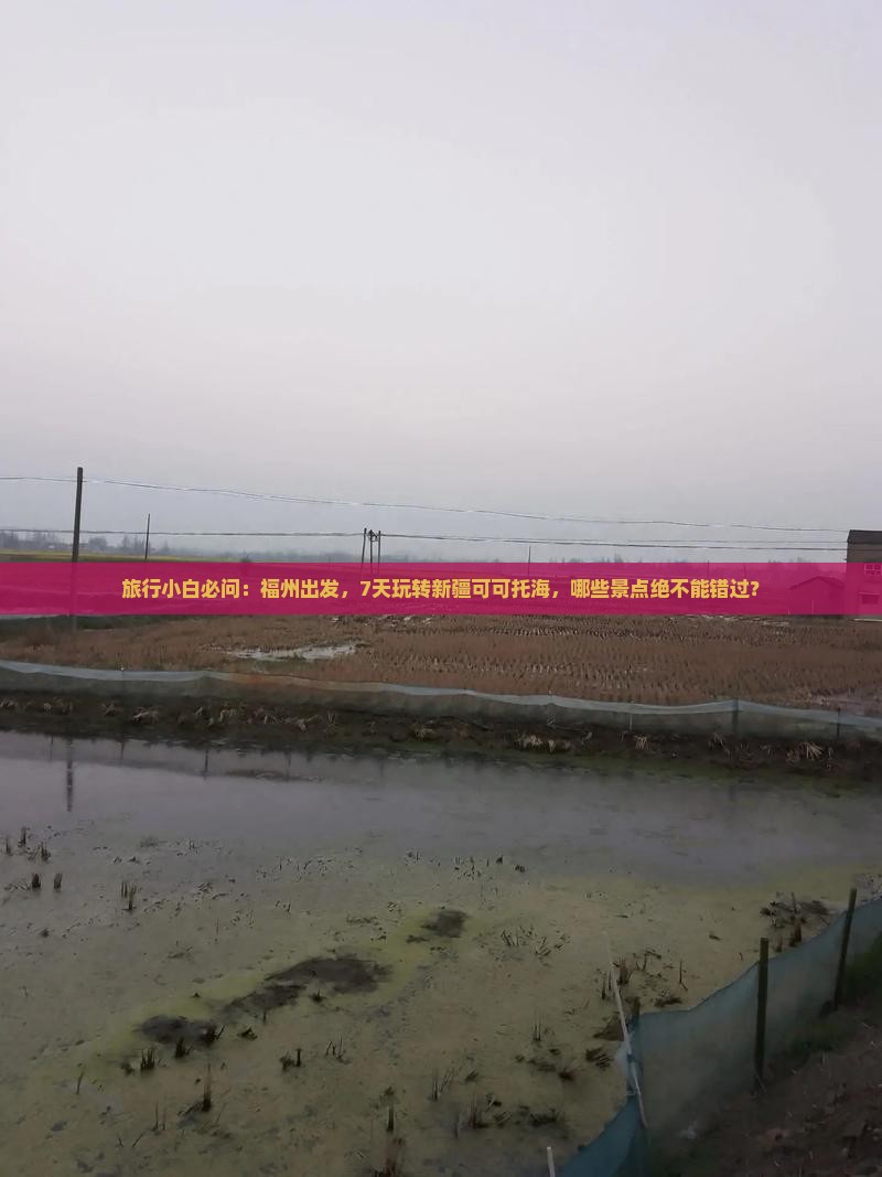 旅行小白必问：福州出发，7天玩转新疆可可托海，哪些景点绝不能错过？