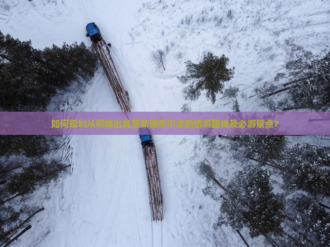 如何规划从桐城出发至新疆布尔津的旅游路线及必游景点？