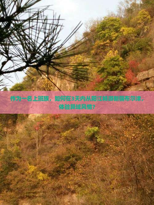 作为一名上班族，如何在3天内从阳江畅游新疆布尔津，体验异域风情？