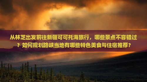 从林芝出发前往新疆可可托海旅行，哪些景点不容错过？如何规划路峡当地有哪些特色美食与住宿推荐？