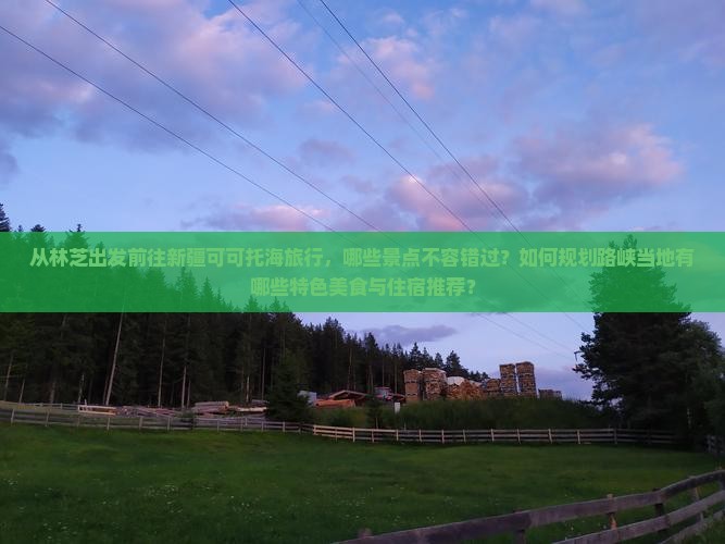 从林芝出发前往新疆可可托海旅行，哪些景点不容错过？如何规划路峡当地有哪些特色美食与住宿推荐？